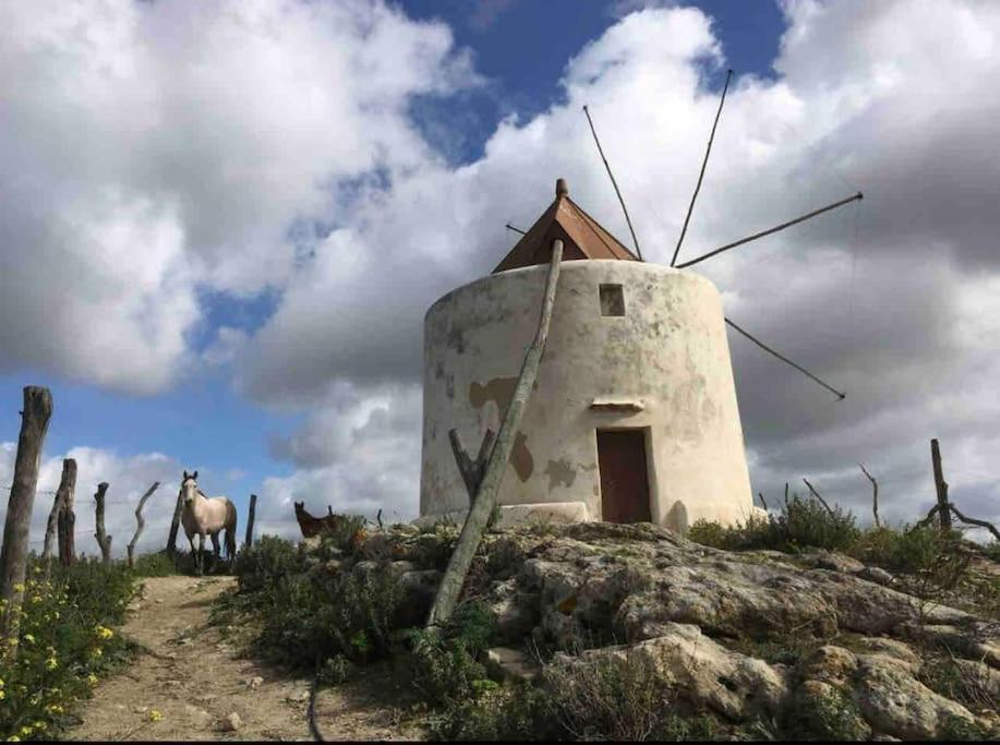 La Torre Eco-Suite Vejer de la Frontera Esterno foto